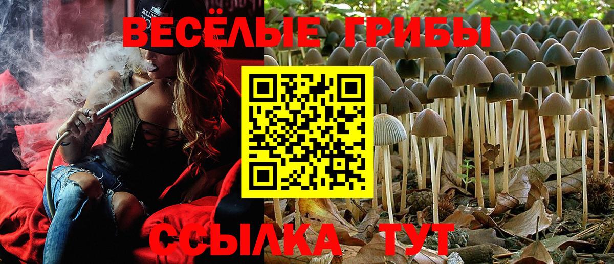 Псилоцибиновые грибы мухоморы Каменск-Уральский