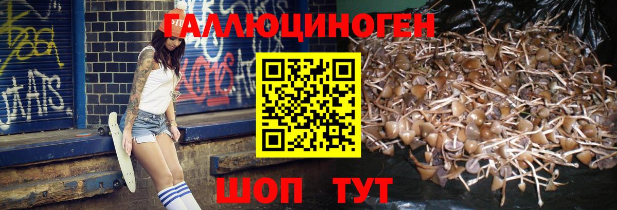 Галлюциногенные грибы мицелий  купить   Каменск-Уральский  Вход с VPN 